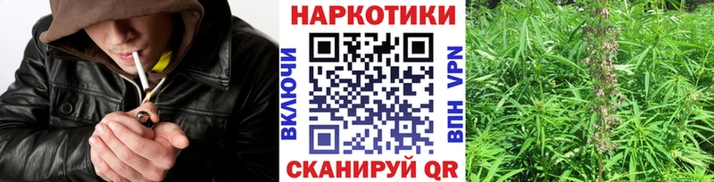 Как найти наркотики Волхов АМФ Канабис