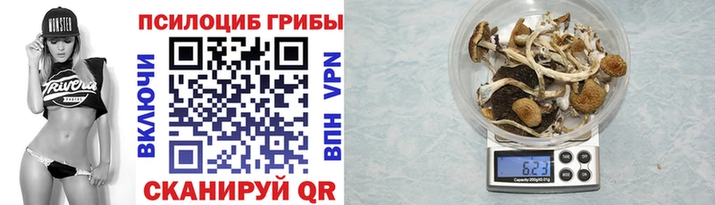 где купить наркоту  сайты даркнета состав  Псилоцибиновые грибы GOLDEN TEACHER  Волхов 